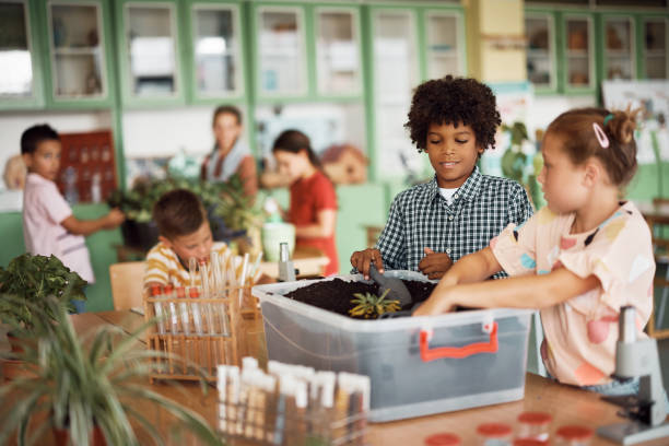 Happy classmates planting during botany class at elementary school. Happy African American student and his classmate planting together during botany activity class in the classroom. soil tester stock pictures, royalty-free photos & images