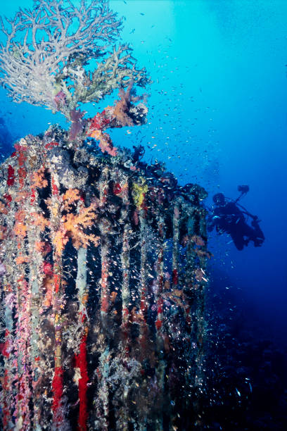 istock Remains of Shark Cage 1410338124