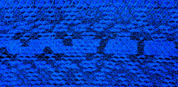 istock Blue snake pattern imitation, as background. Natural snake skin. 1410339626