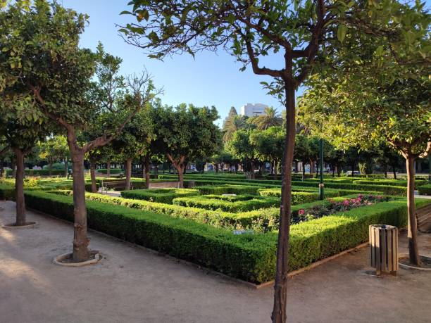 istock Beautiful green parc and blue sky 1410339751
