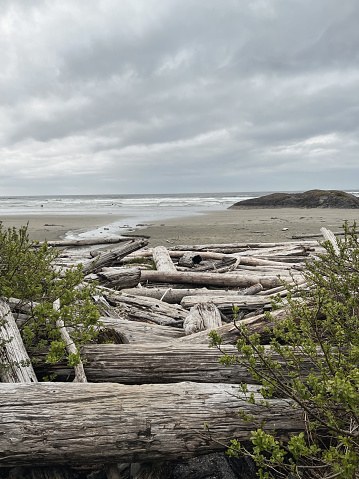 French Beach Provincial Park located along the west coast of Vancouver Island.