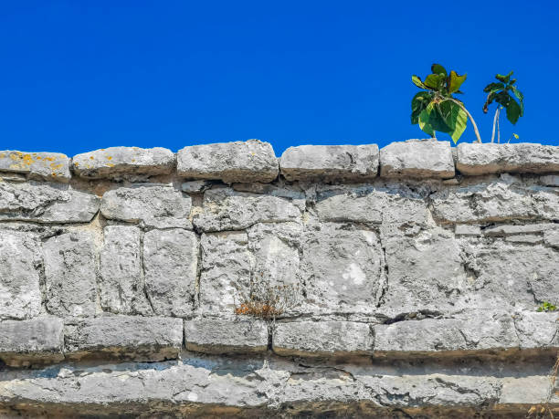 istock Texture pattern of Tulum ruins Mayan site temple pyramids Mexico. 1410347128