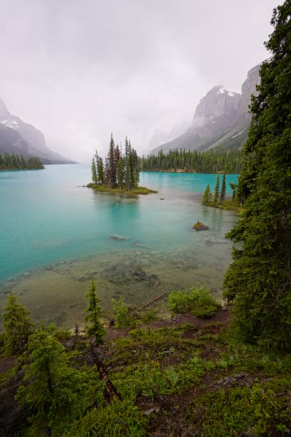 istock Romantic Island with Coniferous Trees in Canada 1410348111