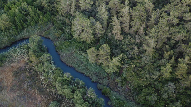 istock river images in nature 1410349198