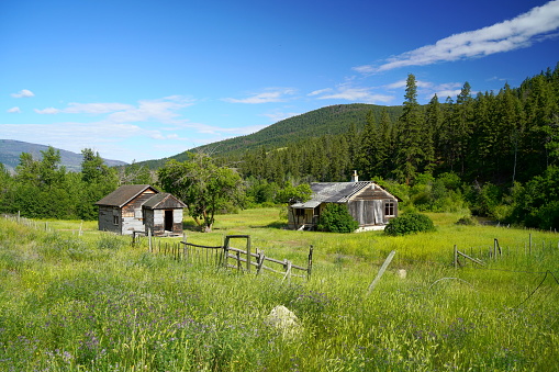 Derelict, abandoned farm buildings in British Columbia, Canada, on a sunny summer day.