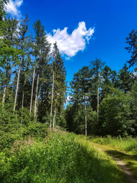 istock Landscape photos from summer in Germany 1410352602