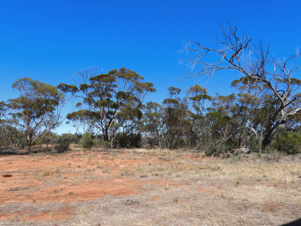 istock Swan Hill, Victoria, Australia 1410357835