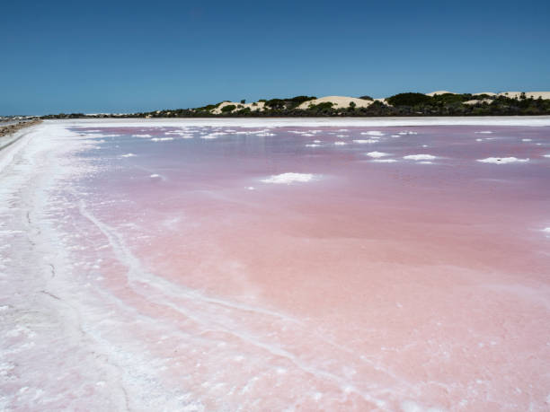 istock Pink Salt Lake - Point Sinclair 1410361058