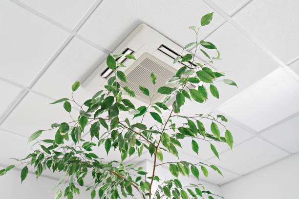 istock Low angle of assette Air Conditioner on ceiling in modern light office or apartment with green ficus plant leaves. Indoor air quality 1410361679