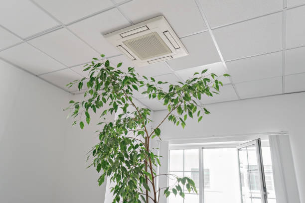 istock Low angle of assette Air Conditioner on ceiling in modern light office or apartment with green ficus plant leaves. Indoor air quality 1410361682