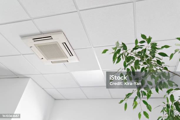 Low Angle Of Assette Air Conditioner On Ceiling In Modern Light Office Or Apartment With Green Ficus Plant Leaves Indoor Air Quality Stock Photo - Download Image Now