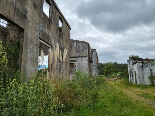 istock Abandoned houses in a field 1410365938
