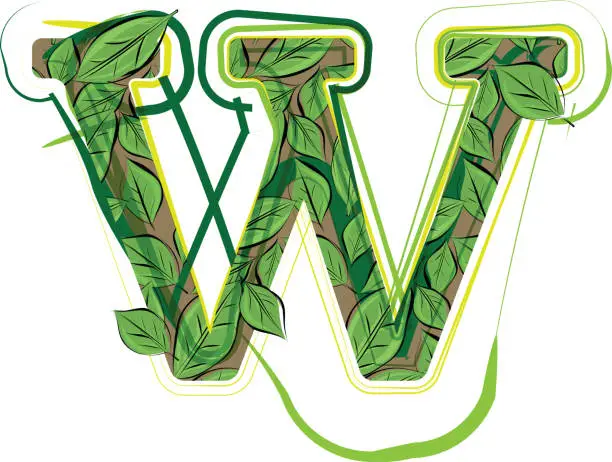 Vector illustration of Green leaf alphabet illustration LETTER W