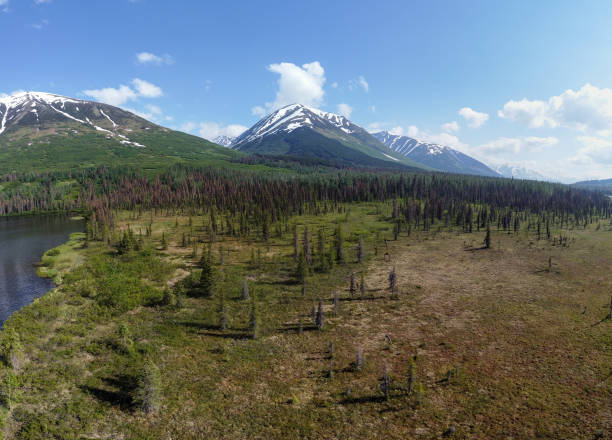 istock Panoramic View of a Yukon valley in wilderness ，Yukon Canada 1410372526