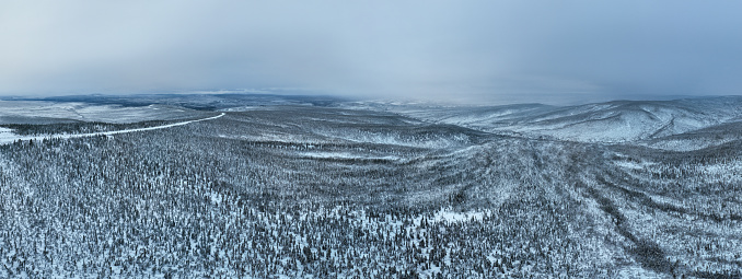 Panoramic Aerial View of Boreal Nature Forest in Winter After Snowstorm, Yukon, Canada
