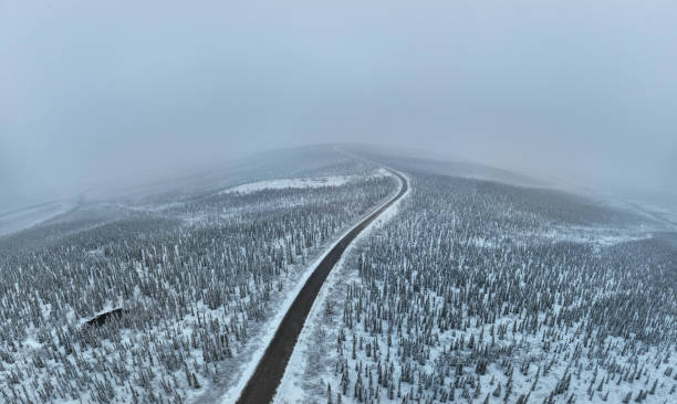 panorama-luftaufnahme des borealen naturwaldes im winter nach schneesturm, yukon, kanada - drivers point of view country road snowing blizzard stock-fotos und bilder