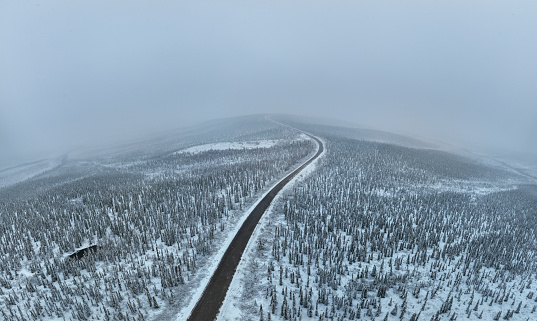 Panoramic Aerial View of Boreal Nature Forest in Winter After Snowstorm, Yukon, Canada