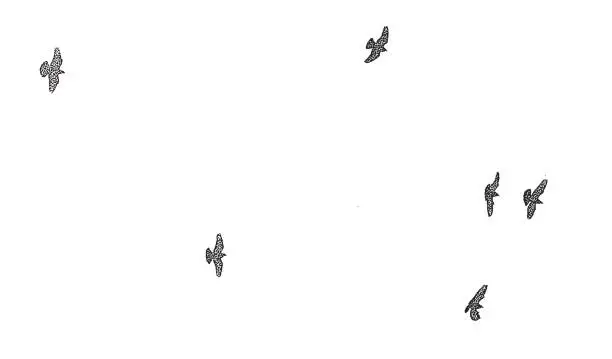 Vector illustration of Flock of birds flying