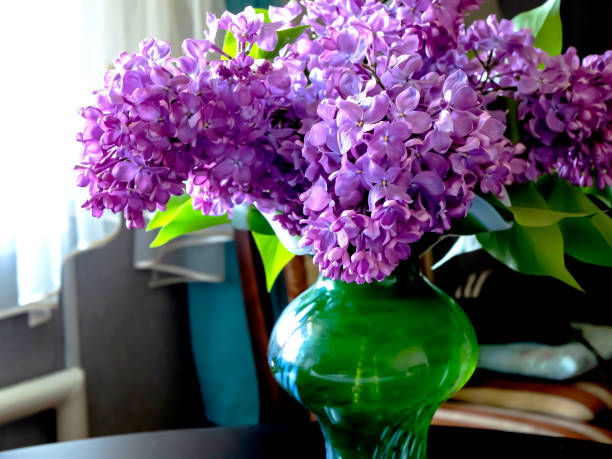 istock bright bouquet of lilacs in a vase 1410388514