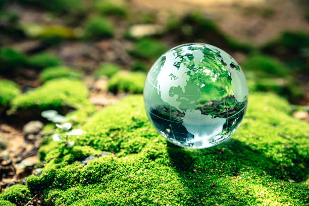 Crystal globe putting on moss Crystal globe putting on moss, ecology and environment sustainable concept. environment stock pictures, royalty-free photos & images