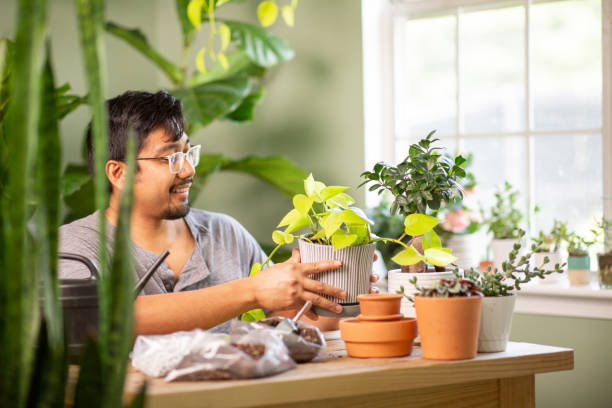 istock Taking care of indoor potted plants 1410392245