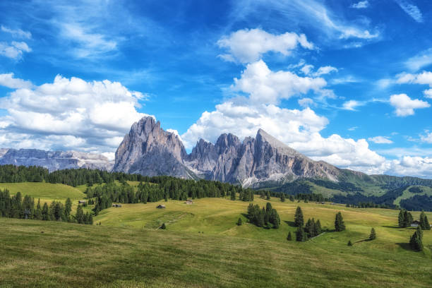 istock Alpe di siusi alpine meadows 1410392540