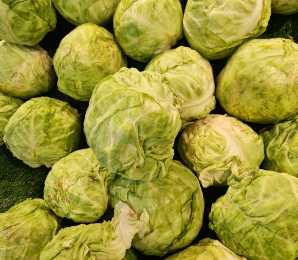 istock Group of green cabbage in supermarket. Cabbage background. 1410396612