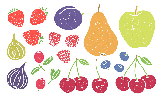 Set of textured vector illustrations of local fruits and berries: strawberry, plum, pear, apple, fig, raspberry, blueberry, cranberry, and cherry.