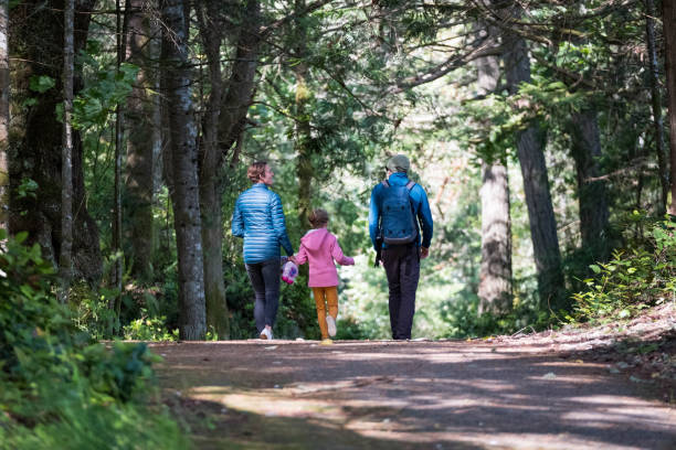 istock Family hiking in a lush forest 1410399151