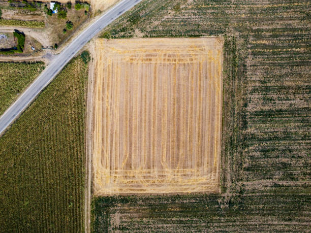 istock Agricultural field viewed from the top 1410401513