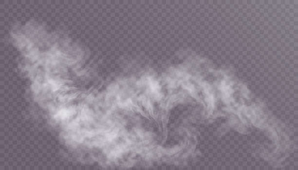 textured special effects of steam, smoke, fog, clouds. vector isolated smoke png - smoke stock illustrations