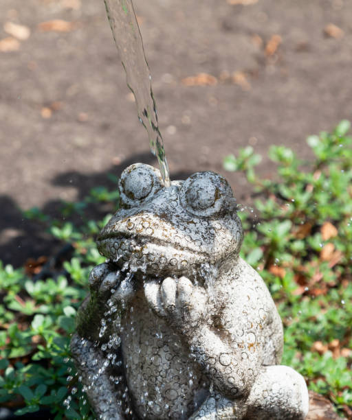 istock jet of water flows on a stone frog 1410406783