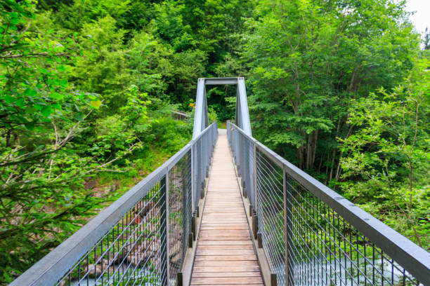 istock Footbridge across the Kander river in Switzerland 1410407030