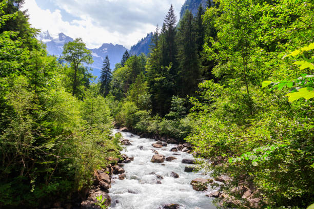 View of the Kander river in Switzerland