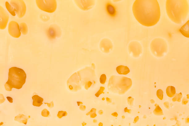 istock Texture of Swiss-type cheese on a section 1410408566
