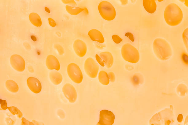 istock Texture of Swiss-type cheese on a section 1410409364