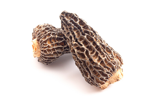 Wild Harvested Morel Mushrooms Trimmed and Dried on a White Background