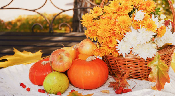 istock Beautiful autumn fall composition with bench, basket with white and orange chrysanthemums, pumpkins and fruits. Concept of Thanksgiving day or Halloween. Autumn background. 1410412349