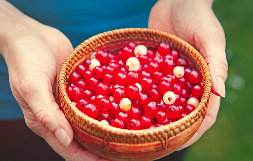 Woman holding fresh red currant in wooden bowl