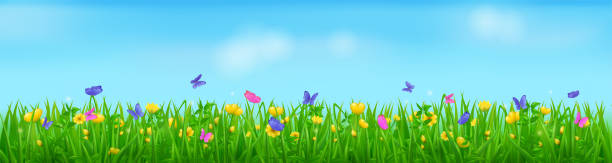 istock Summer meadow with butterflies, flowers and grass 1410425721
