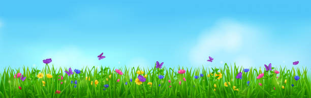 istock Summer meadow with butterflies, flowers and grass 1410425730