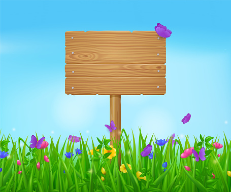 Wooden signboard on summer meadow with green grass, flowers and butterflies. Vector spring landscape of lawn or field with old timber signpost, board from wood planks on post