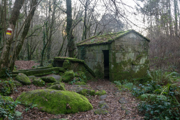 istock Old water mill covered with moss in a forest with dense vegetation. Ethnographic group of Maquias in Zamanes. Vigo - Spain 1410428121