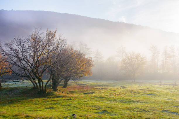carpathian countryside on a misty autumn morning stock photo