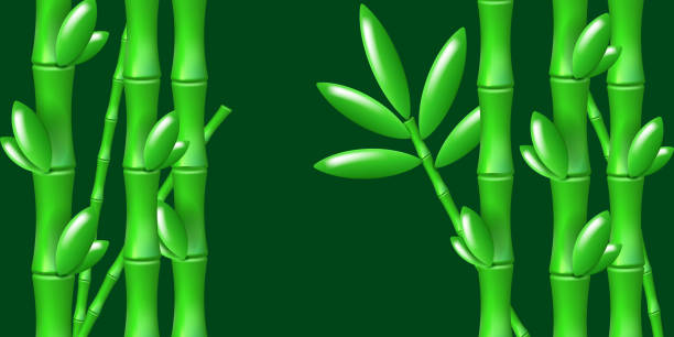 ilustrações, clipart, desenhos animados e ícones de floresta de bambu verde de desenho animado - computer graphic image stick tree trunk