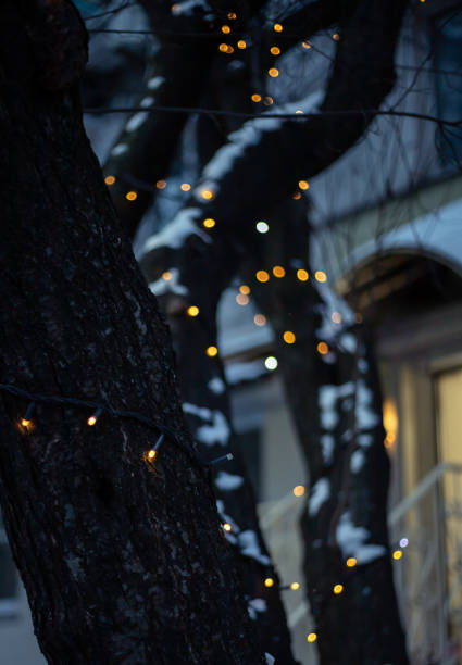 istock Garland on the tree 1410430950
