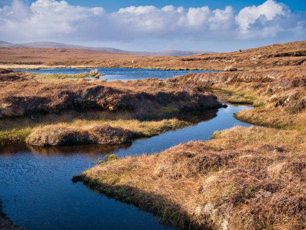 a wetland area forming peat near eshaness, northmavine on mainland, shetland, uk. taken on a sunny day with blue sky and white clouds. - bog imagens e fotografias de stock