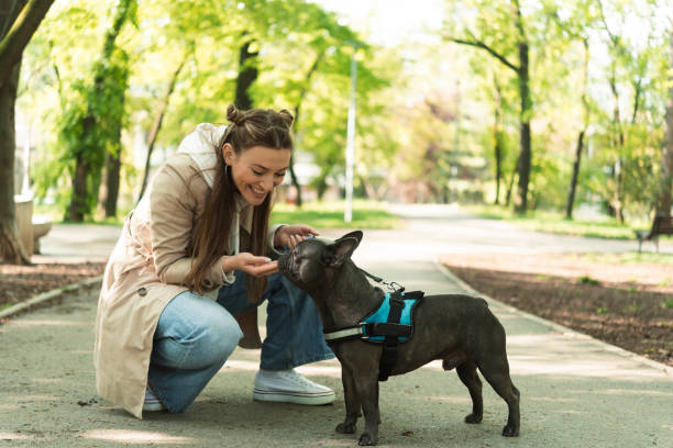 istock Young woman playing with dog 1410436213