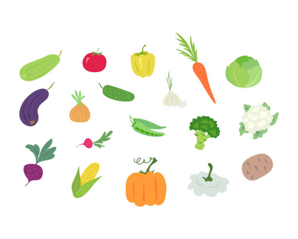 Set of simple colored vegetables Vector set of simple colored vegetables: zucchini, eggplant, beetroot, tomato, onion, radish, corn, pepper, cucumber, pea, pumpkin, garlic, carrot, broccoli, squash, cabbage, cauliflower, potato cauliflower nutrition stock illustrations