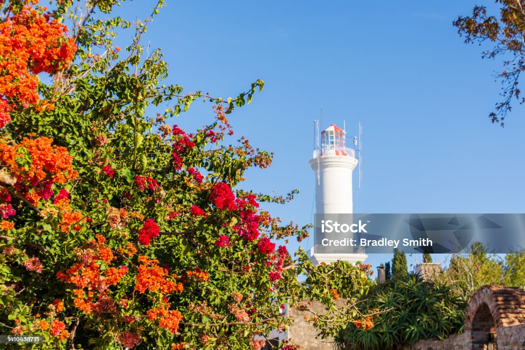 Colonia del Sacramento Lighthouse A sunny autumnal day with colourful flowers and a view of the light house in Colonia del Sacramento, Uruguay. Uruguay Stock Photo